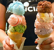 Ice Cream Flavor List Menu Mannings Ice Cream At Chantilly Goods Ice Cream Shop Weissport PA
